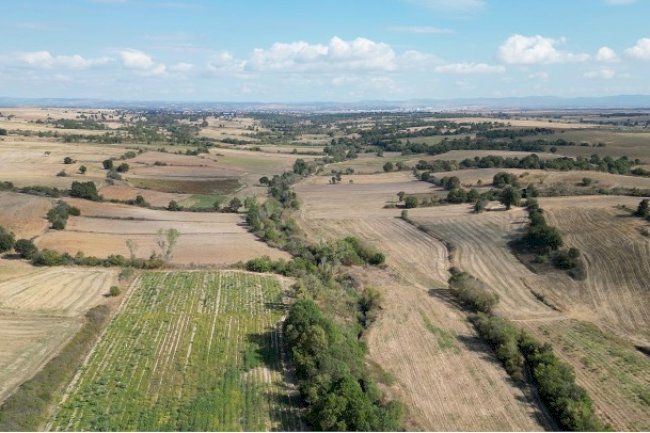 I'm on my way to becoming one of the top real estate agents in Thrace