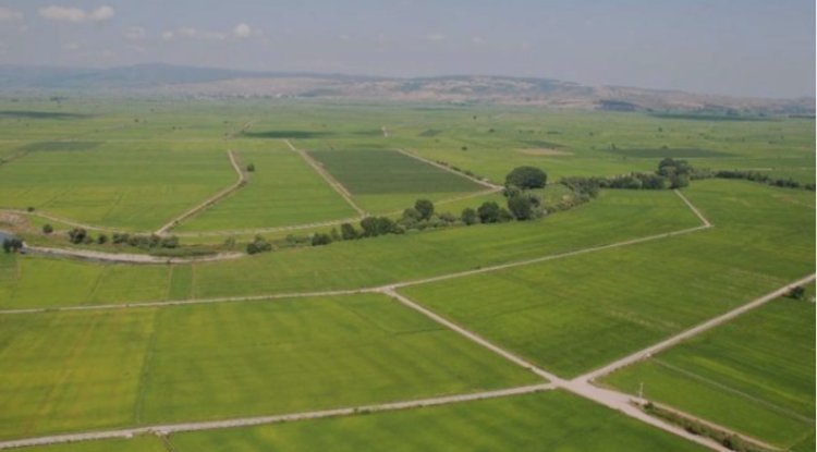 I'm starting to make a name for myself in the Thrace real estate business.