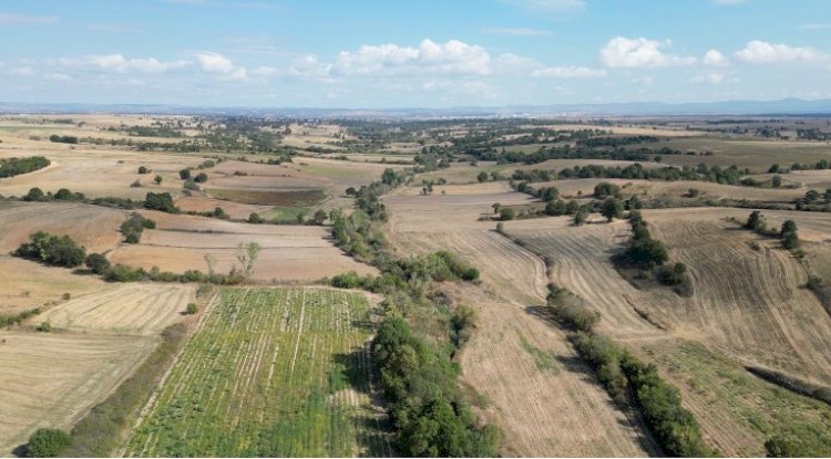 I'm on my way to becoming one of the top real estate agents in Thrace