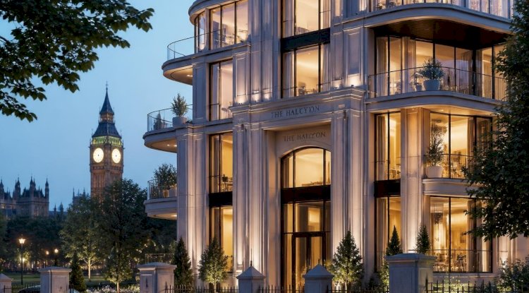 Our Strategic Real Estate Consultancy Business in the London Real Estate Market Is Growing